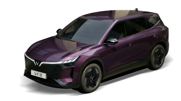 Mysterioso Purple