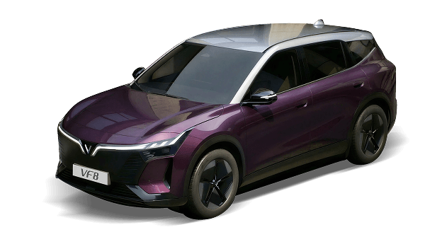 Mysterioso Purple Body - Stealth Gray Roof